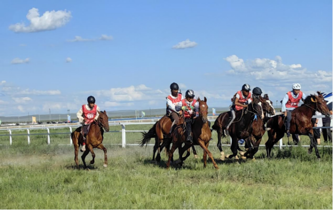 “走遍中国”写生那达慕:探寻草原文化密码