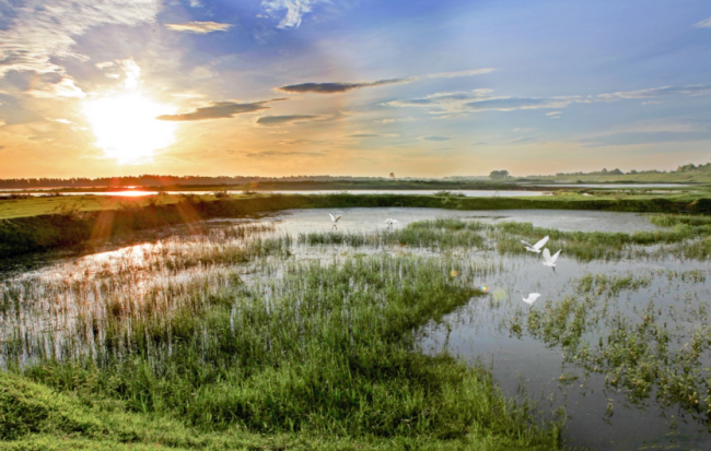 探文旅结伙新旅途 谋山水东谈主文新图景（一）